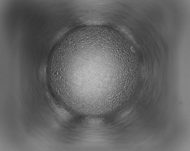 X0000074020491200609061119
