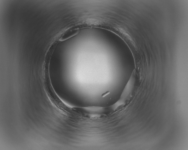 X0000074020492200609061119