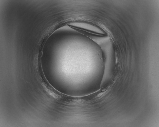 X0000074020493200609061119