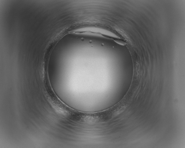 X0000074020494200609061119