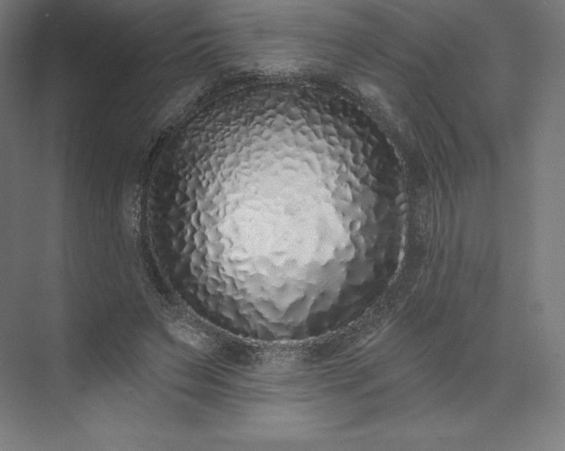 X0000074020495200609061119