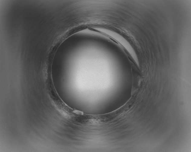 X0000074020496200609061119