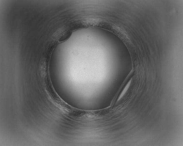 X0000074020498200609061119