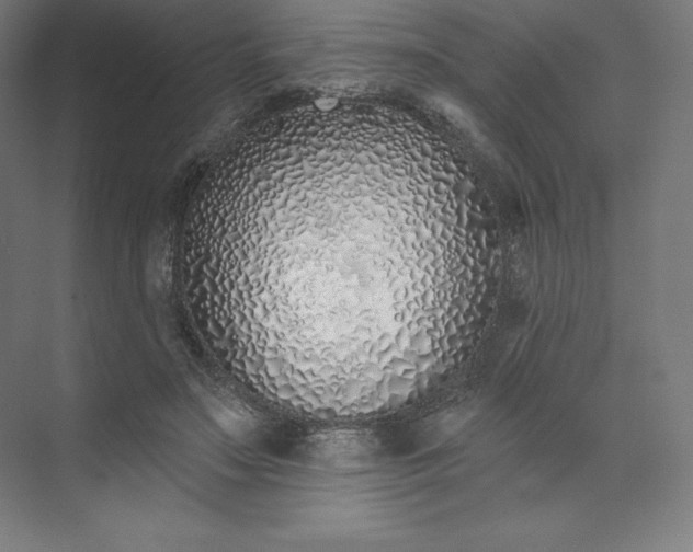 X0000074020499200609061119