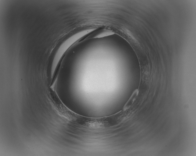 X0000074020500200609061119