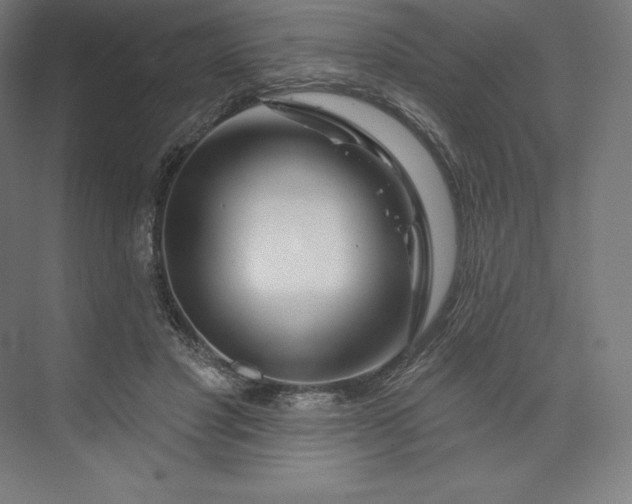 X0000074020501200609061119