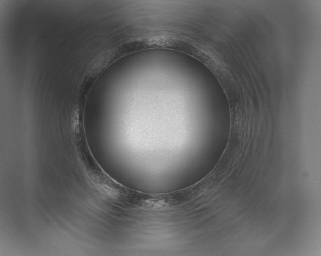 X0000074020502200609061119