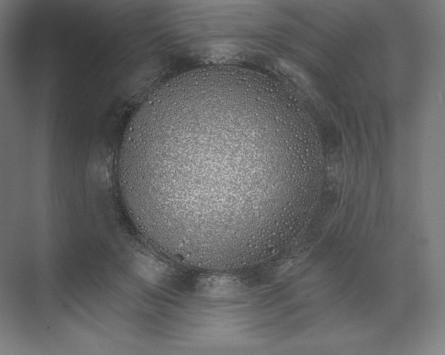 X0000074020503200609061119