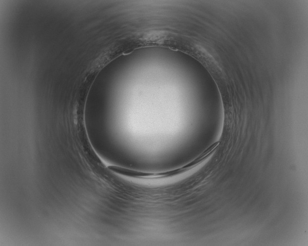 X0000074020504200609061119