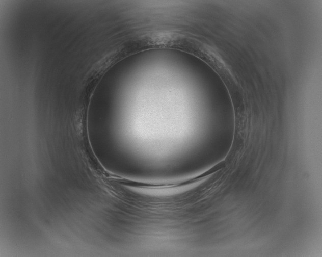 X0000074020505200609061119