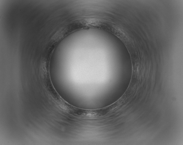 X0000074020506200609061119
