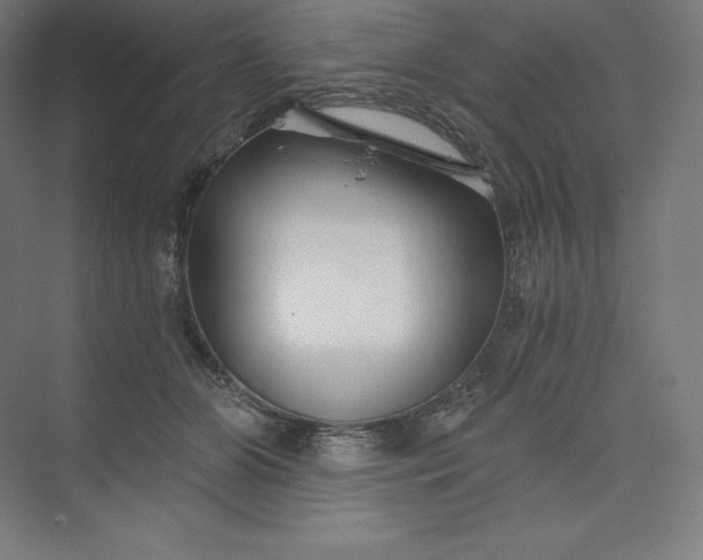 X0000074020510200609061119