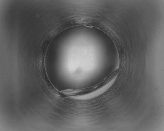 X0000074020513200609061119