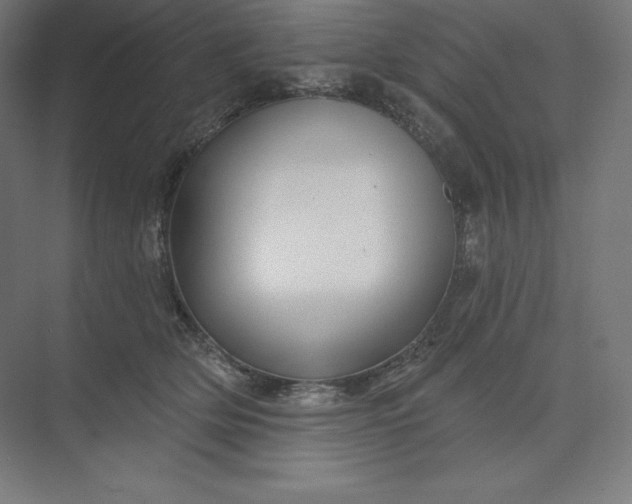X0000074020514200609061119