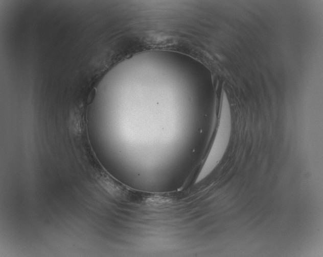 X0000074020515200609061119