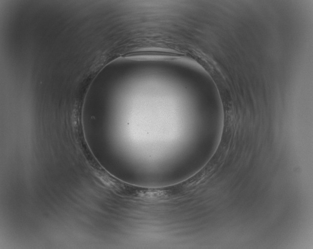 X0000074020517200609061119
