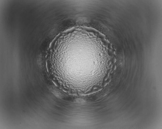 X0000074020519200609061119