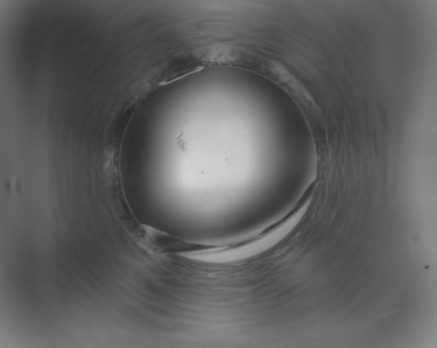 X0000074020521200609061119