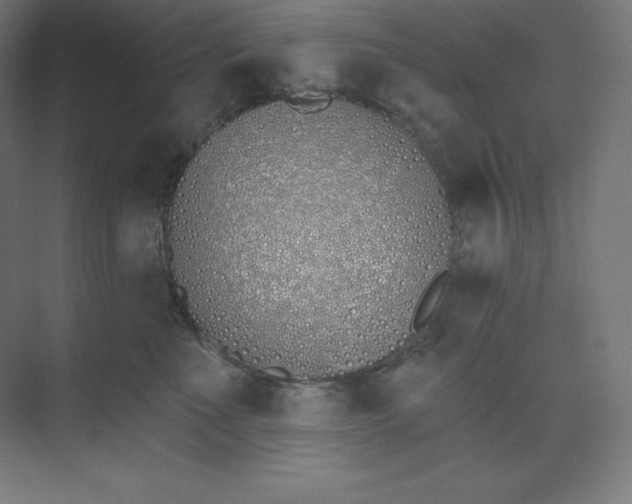 X0000074020523200609061119