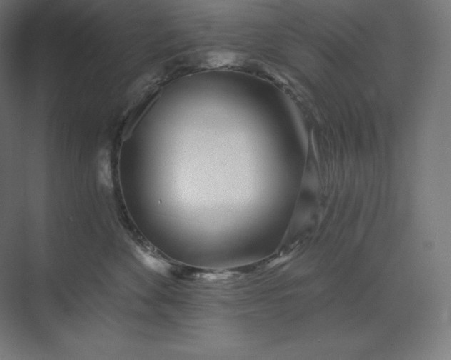 X0000074020524200609061119