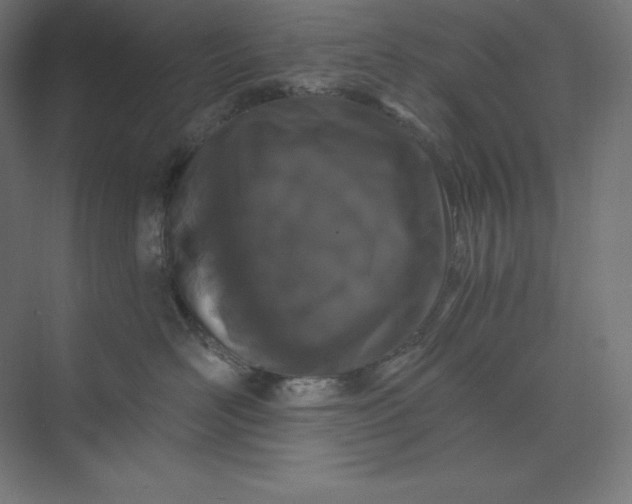 X0000074020526200609061119
