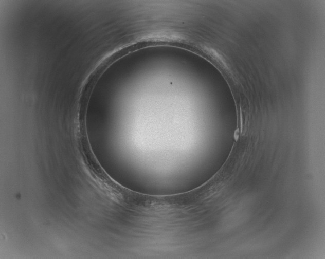 X0000074020531200609061118