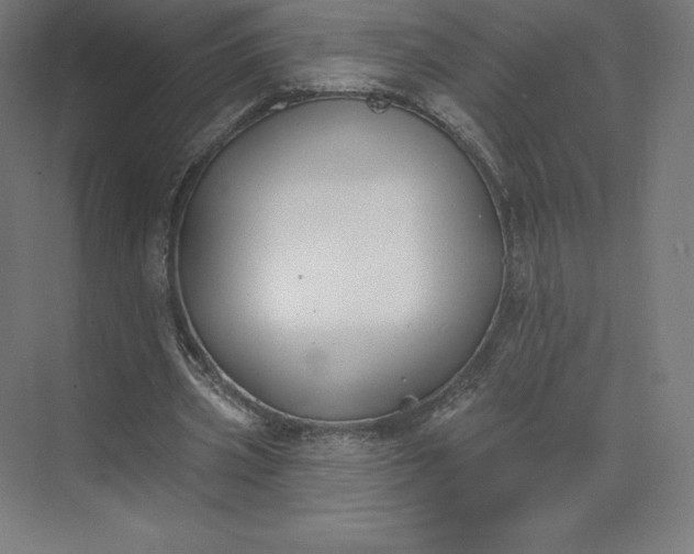 X0000074020533200609061118