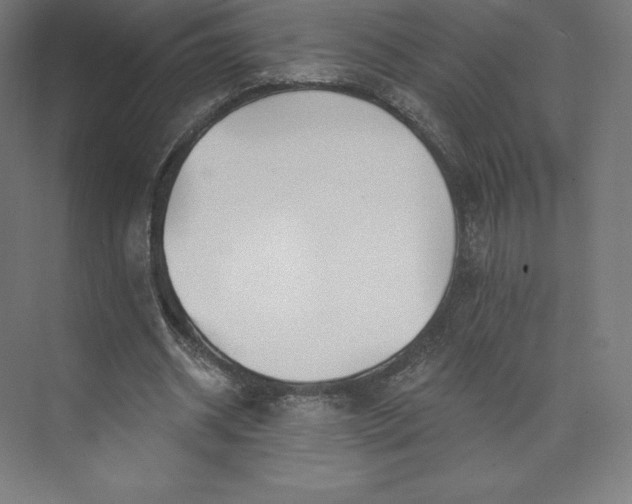 X0000074020534200609061118