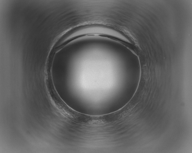 X0000074020536200609061118