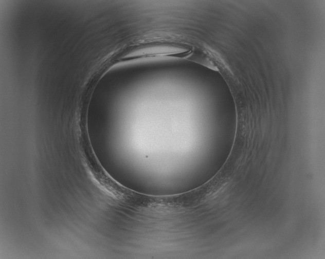 X0000074020538200609061118
