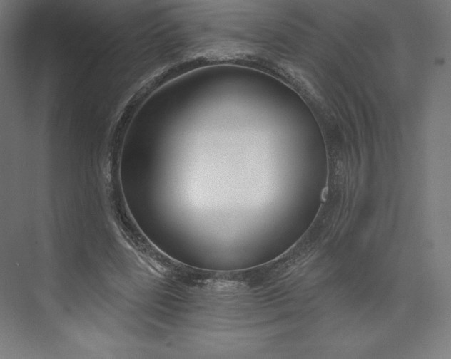 X0000074020539200609061118
