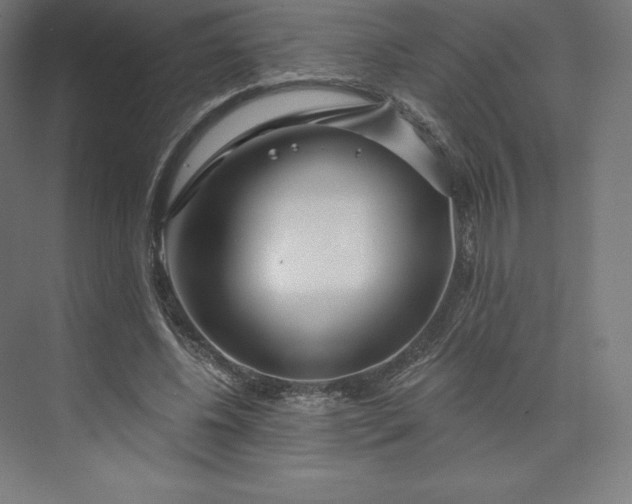X0000074020540200609061118