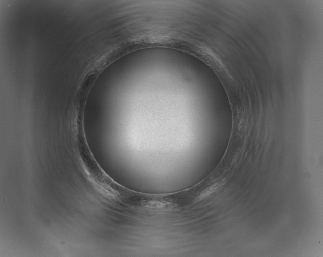 X0000074020542200609061118