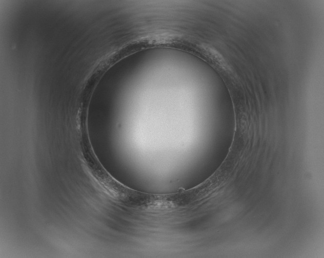 X0000074020543200609061118