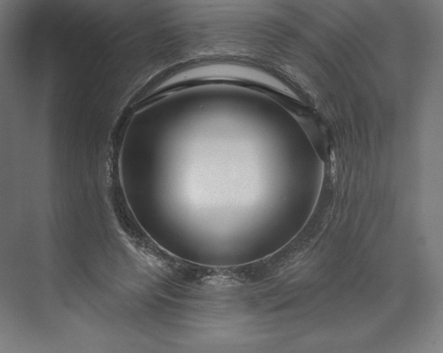 X0000074020544200609061118