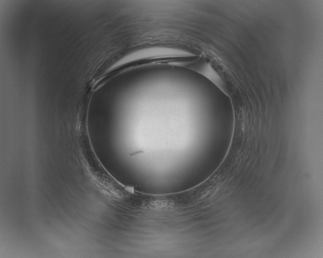 X0000074020546200609061118