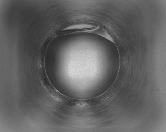 X0000074020547200609061118