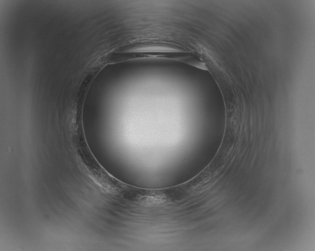 X0000074020548200609061118