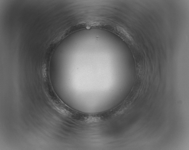 X0000074020549200609061118