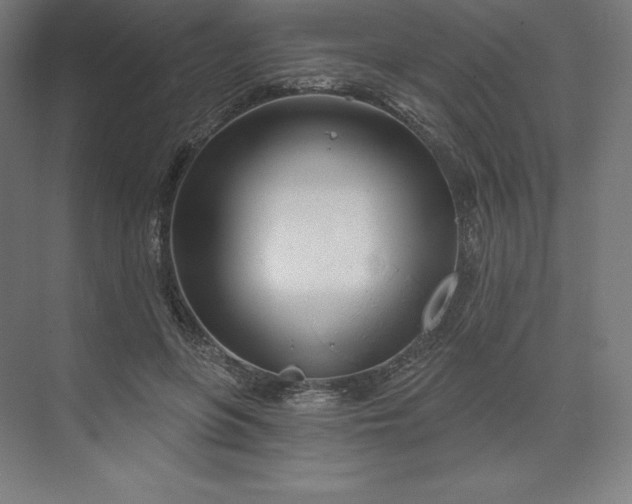 X0000074020551200609061118