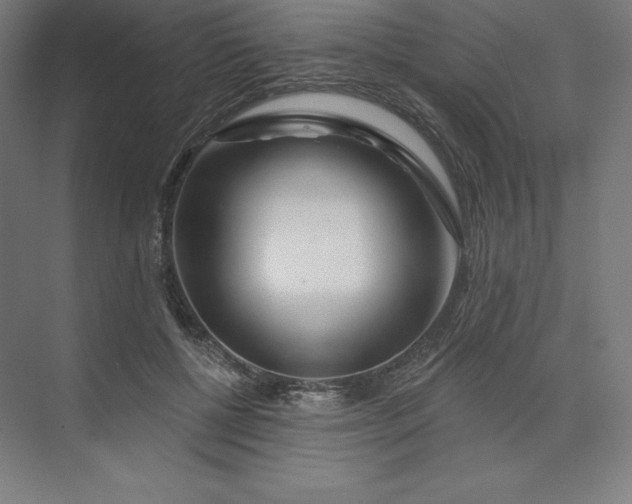 X0000074020552200609061118