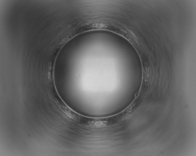 X0000074020553200609061118