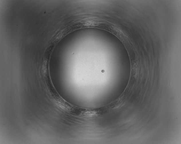 X0000074020554200609061118