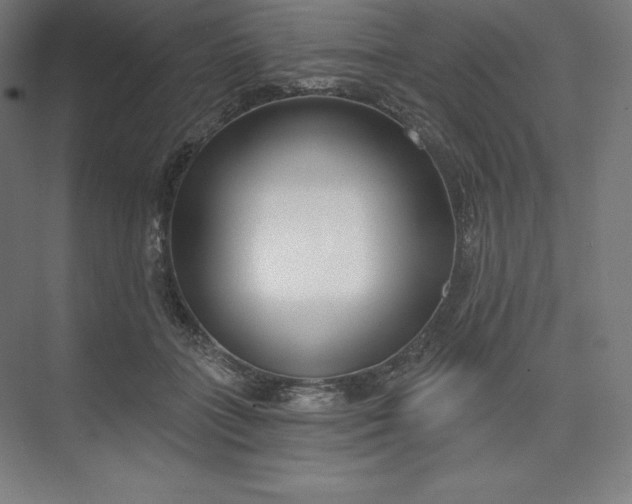 X0000074020555200609061118