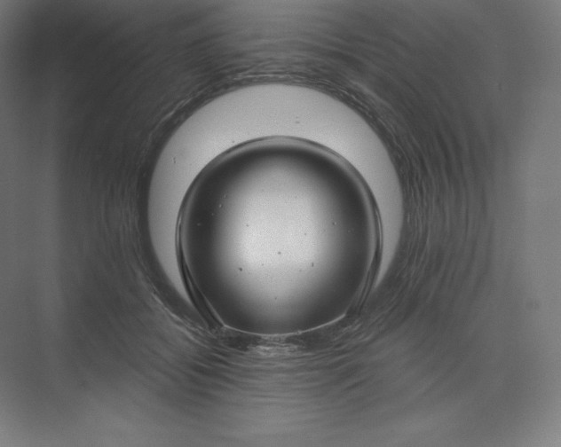 X0000074020556200609061118
