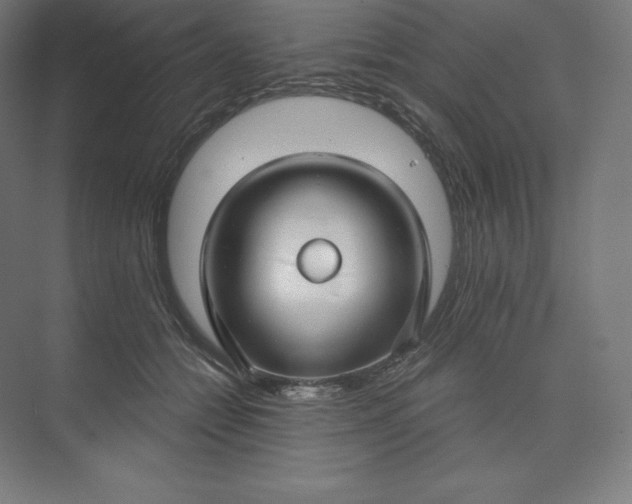X0000074020558200609061118