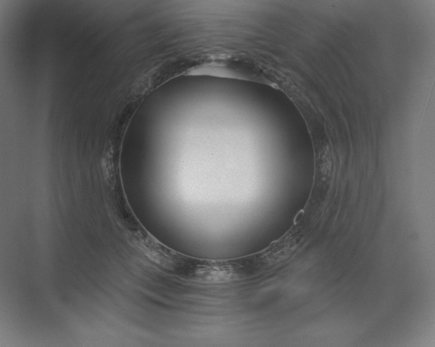 X0000074020559200609061118