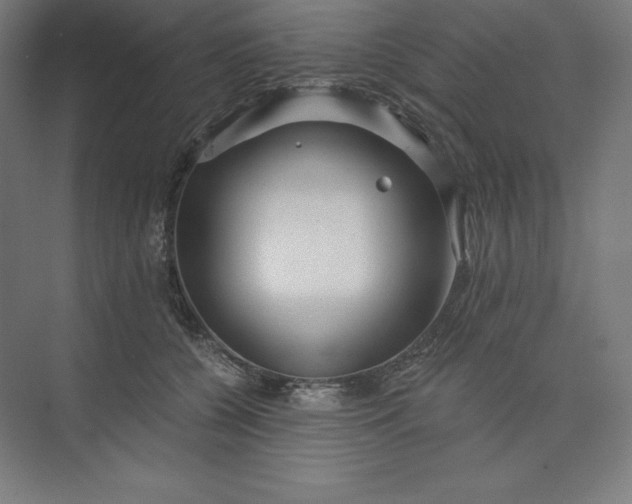 X0000074020560200609061118