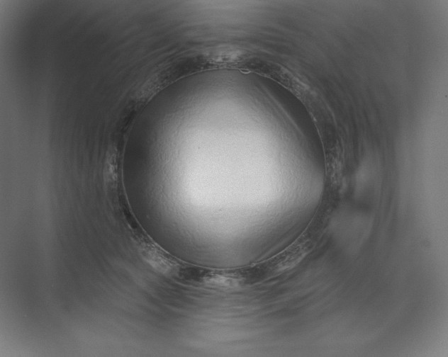 X0000074020561200609061118