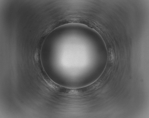 X0000074020562200609061118